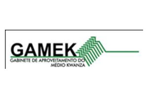 logo G.A.M.E.K.
